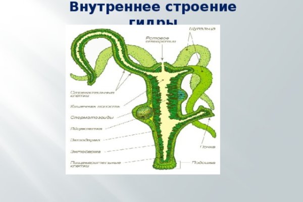 Почему не получается зайти на кракен